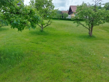 Blick in den Garten - Steina - Grundstück für Ihr Einfamilienhaus