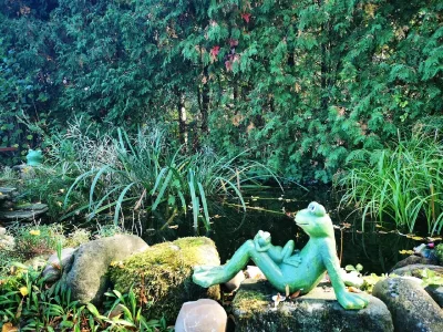 Gartenteich
