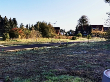 Blick in die Baufelder - Erschließung läuft für Wohnen in Struppen