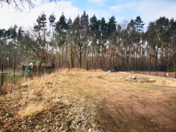 Blick ins Grundstück - Romantischer Bauplatz bei Moritzburg – provisionsfrei