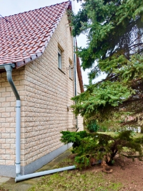 Esse für Kamin im Wohnzimmer - 2024/25 hochwertig saniertes Einfamilienhaus in Lauta - Süd
