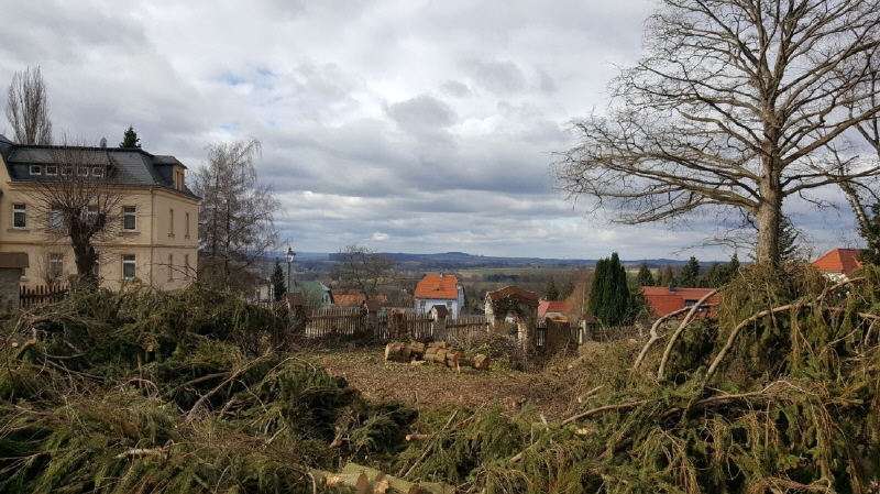 Blick nach Süden - Ehemalige Parkanlage für 1-2 kleinere Mehrfamilienhäuser