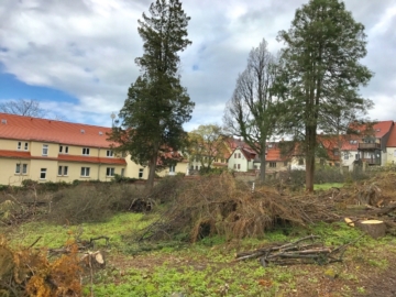Nachbarbebauung
