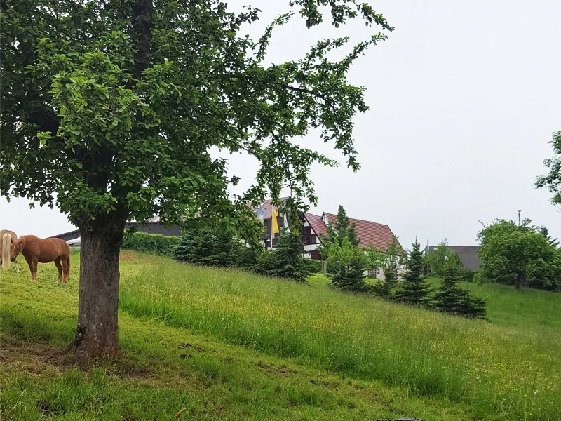 Blick zum Grundstück