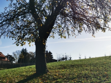 Ansicht