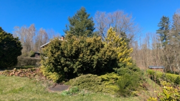 Ansicht Grundstück - Idyllisches Gartengrundstück auf Eigenland in ruhiger Waldlage Berggießhübel