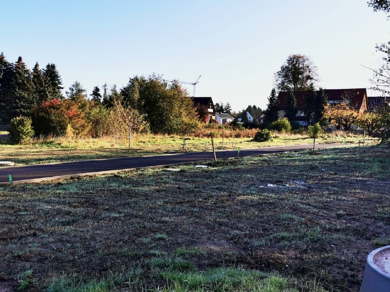 Blick in die Baufelder
