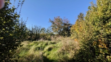 Wild gewachsen - Wohnen in der schönen Region Pulsnitz Nähe Dresden