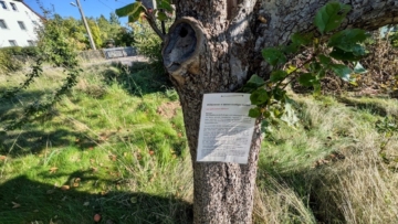 Obstgarten - Wohnen in der schönen Region Pulsnitz Nähe Dresden