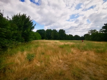 Blick - Neues Baugebiet in Ottendorf-Okrilla