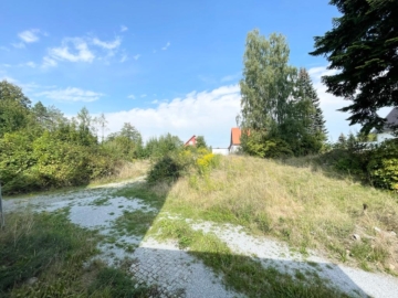 Blick in das verwilderte Grundstück - Naturnaher Bauplatz auf der Ostrauer Scheibe - Bad Schandau