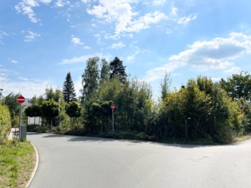 Einbahnstraße - Naturnaher Bauplatz auf der Ostrauer Scheibe - Bad Schandau