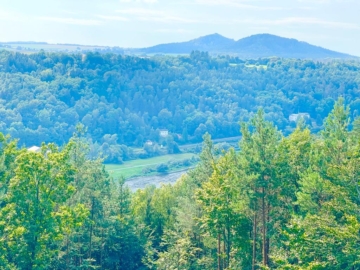 Elbblick - Naturnaher Bauplatz auf der Ostrauer Scheibe - Bad Schandau