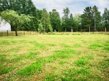 Blick - Großzügiger Bauplatz in Stadt Bernsdorf