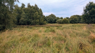Ansicht Grundstück - Grundstück in Tisá in Tschechien
