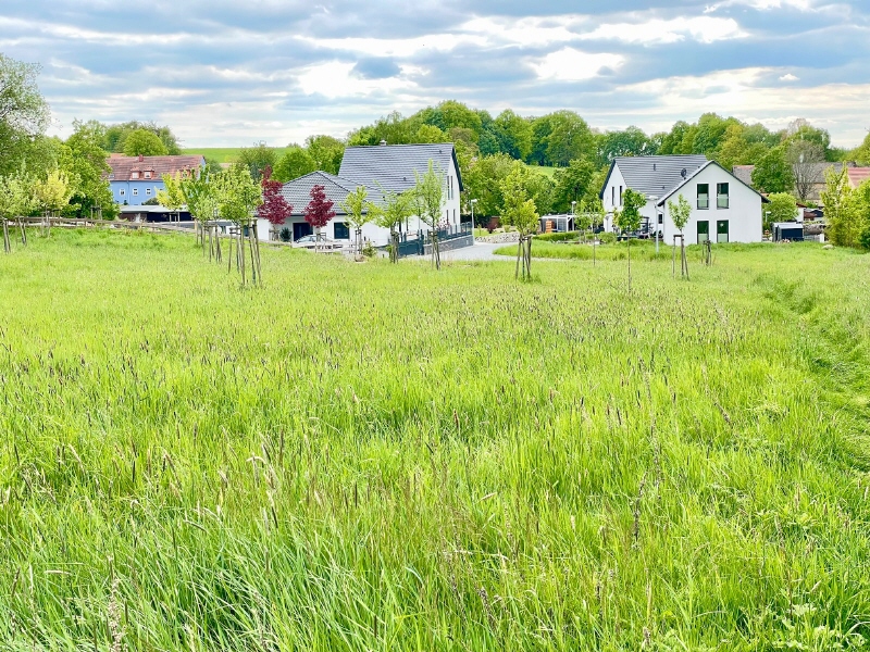 Blick zum vollendeten 1 Bauabschnitt - Bauplätze in herrlicher Randlage Bischofswerda