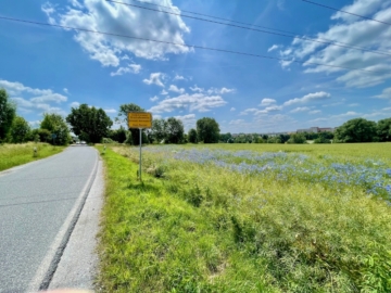 Freies Nachbarfeld - Baugrundstück in Bischofswerda