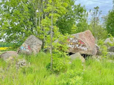 Kreaktive Nachbarn